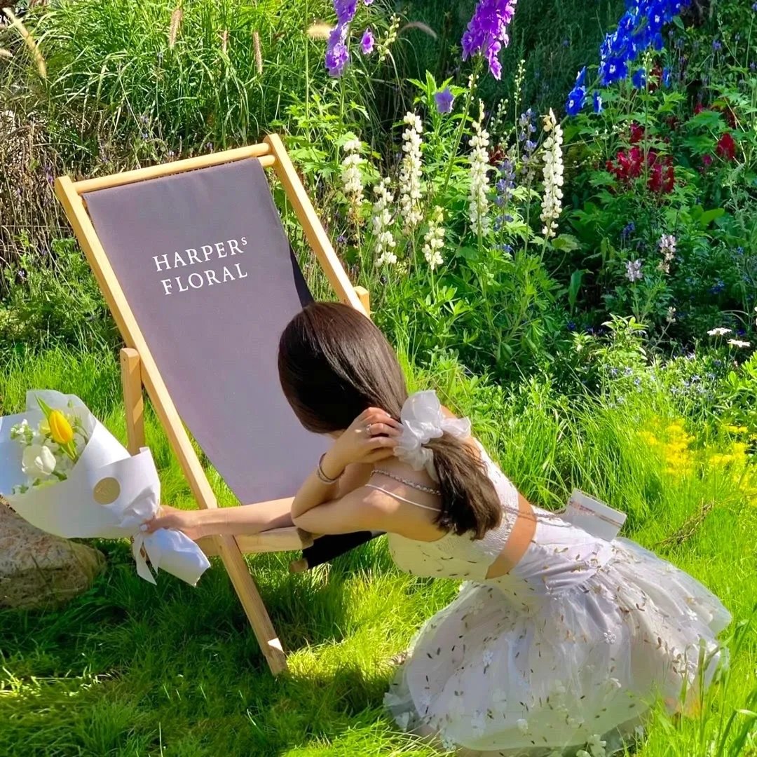 舒适的小屋